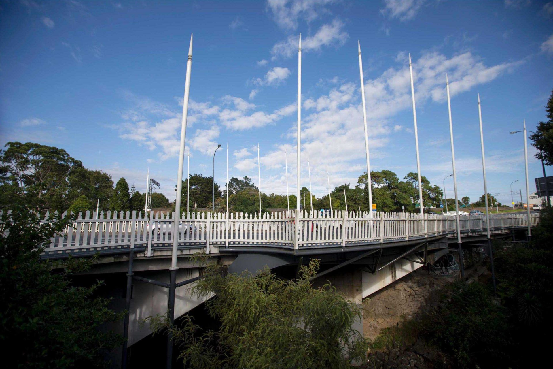 Project Opanuku Crossing Image