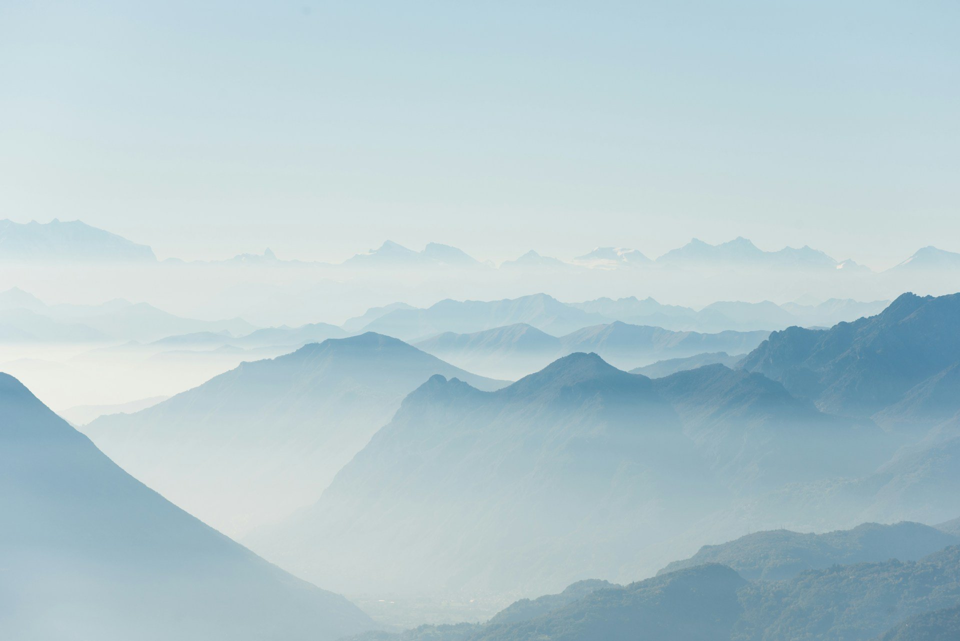 Project Tech Trends: WordPress Leading the Charge Image