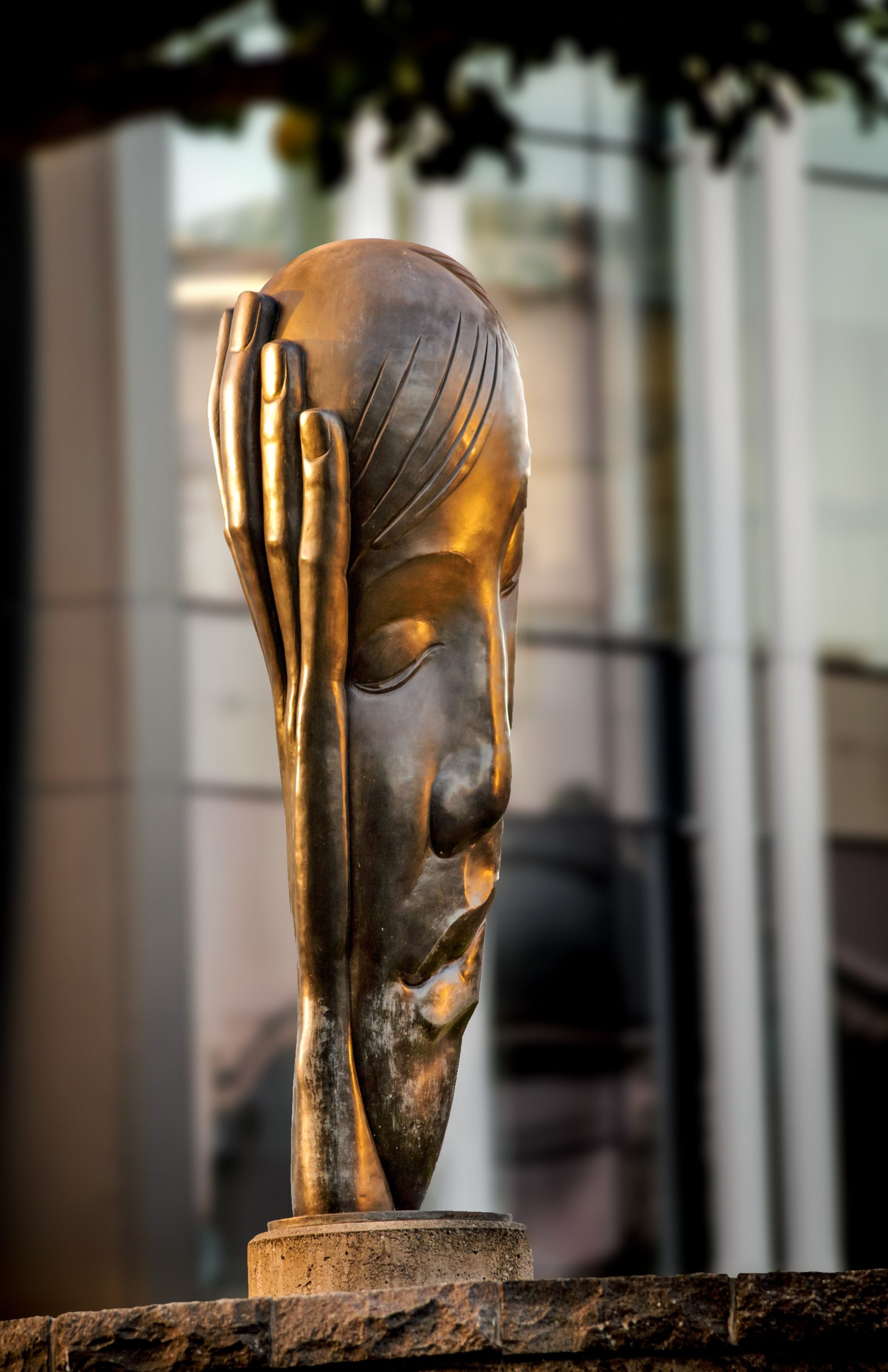 Terry Stringer Nrewmarket Arts Trust Auckland Council Arts